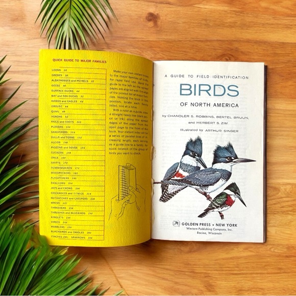 Vintage 1966 Golden Field Guide: Birds of North America - Softcover - Picture 3 of 14